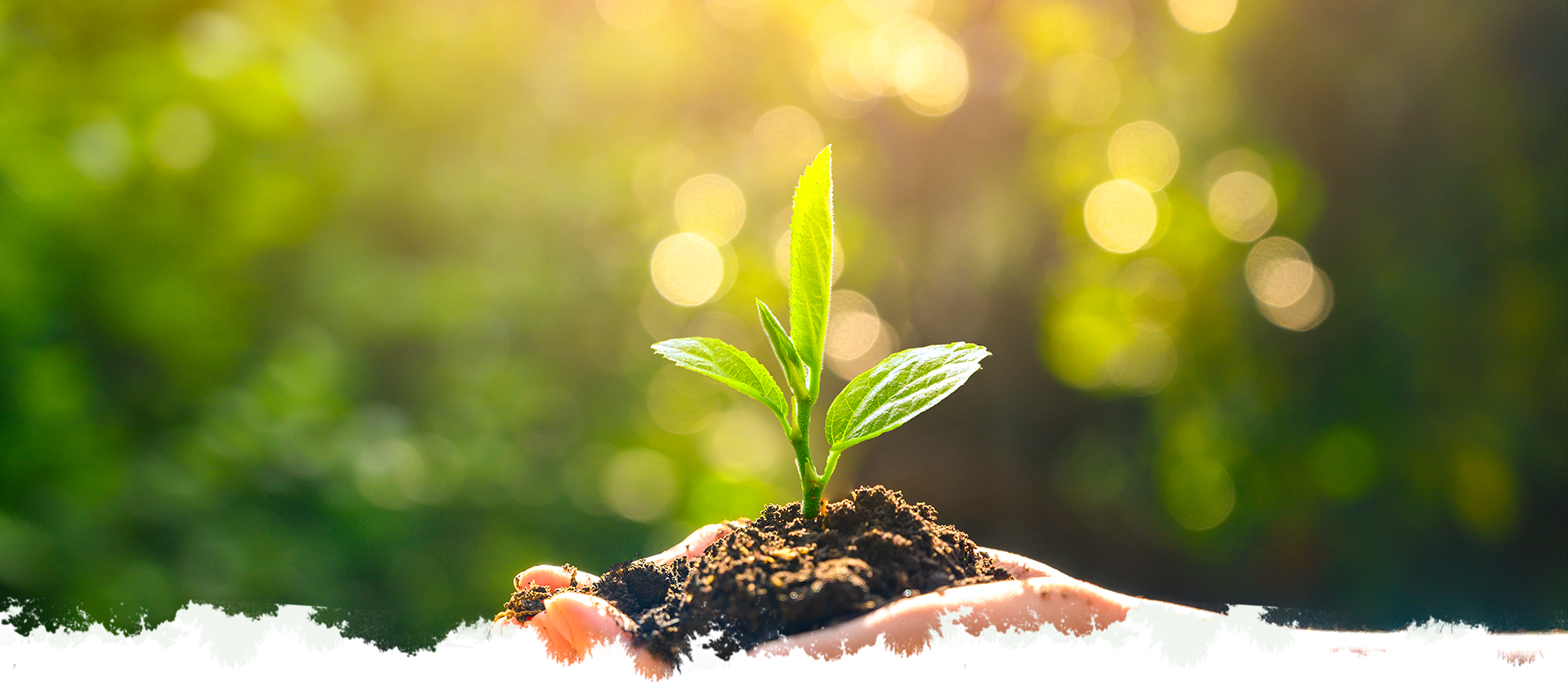 ����ƽ̨|��������-����ע���¼ƽ̨����