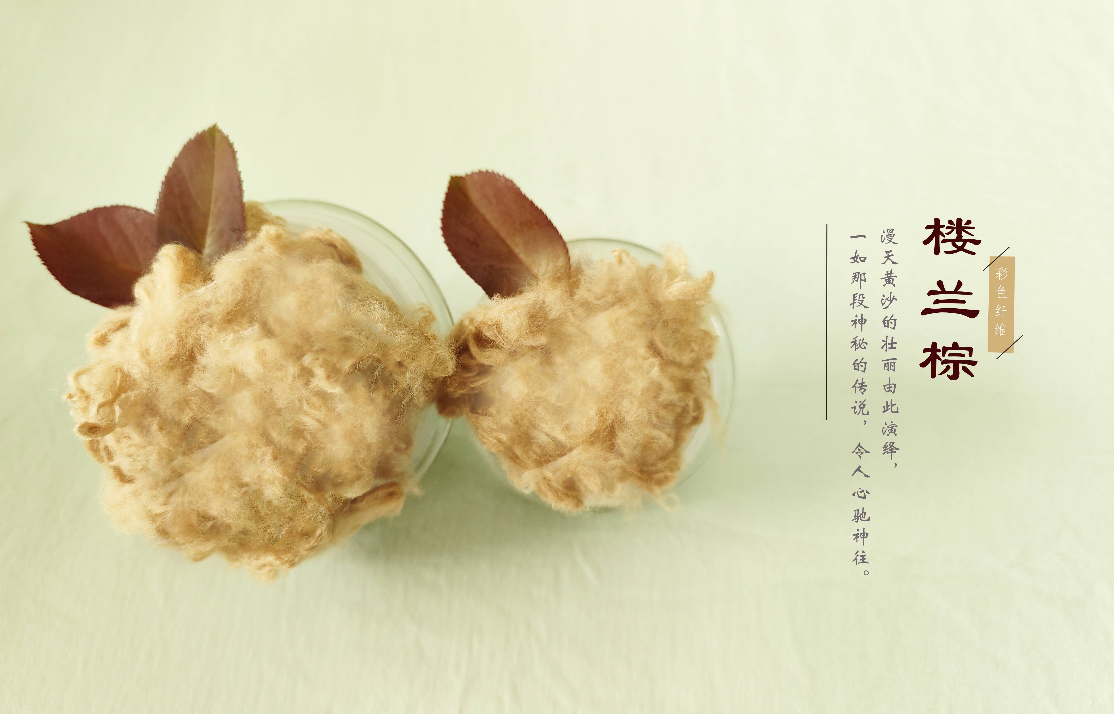 ����ƽ̨|��������-����ע���¼ƽ̨����