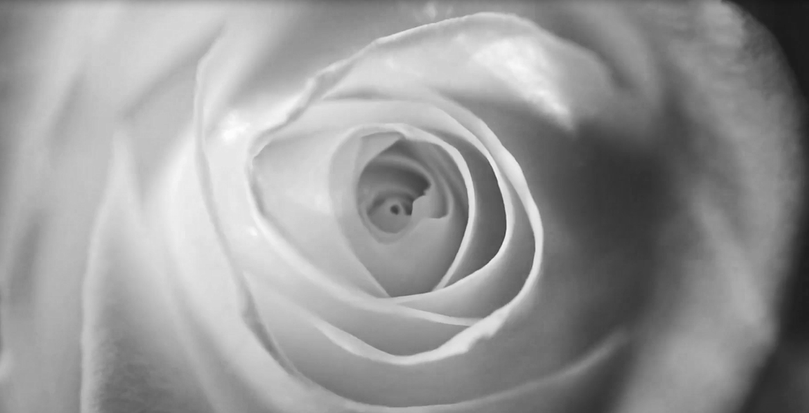 ����ƽ̨|��������-����ע���¼ƽ̨����