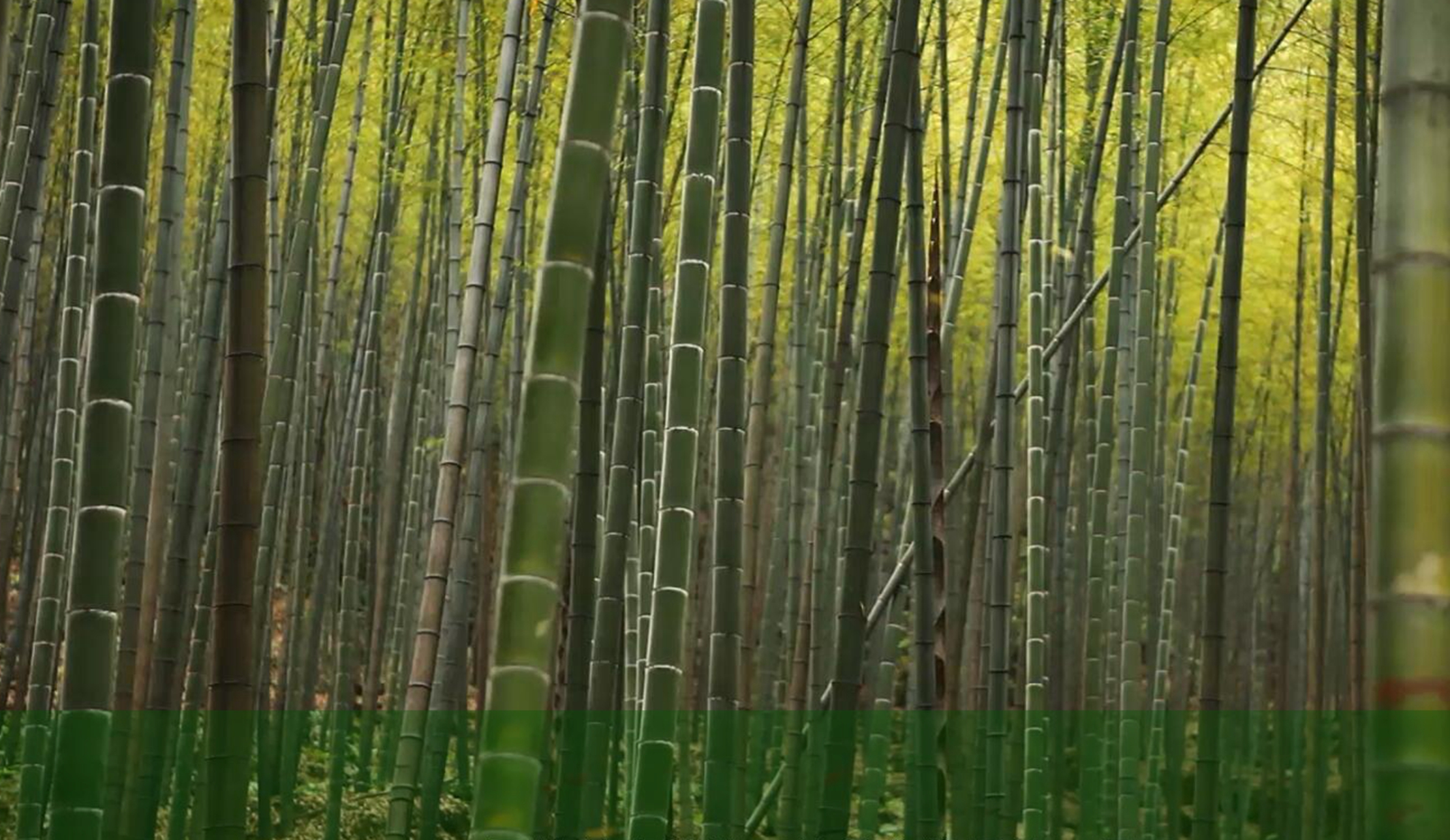 ����ƽ̨|��������-����ע���¼ƽ̨����