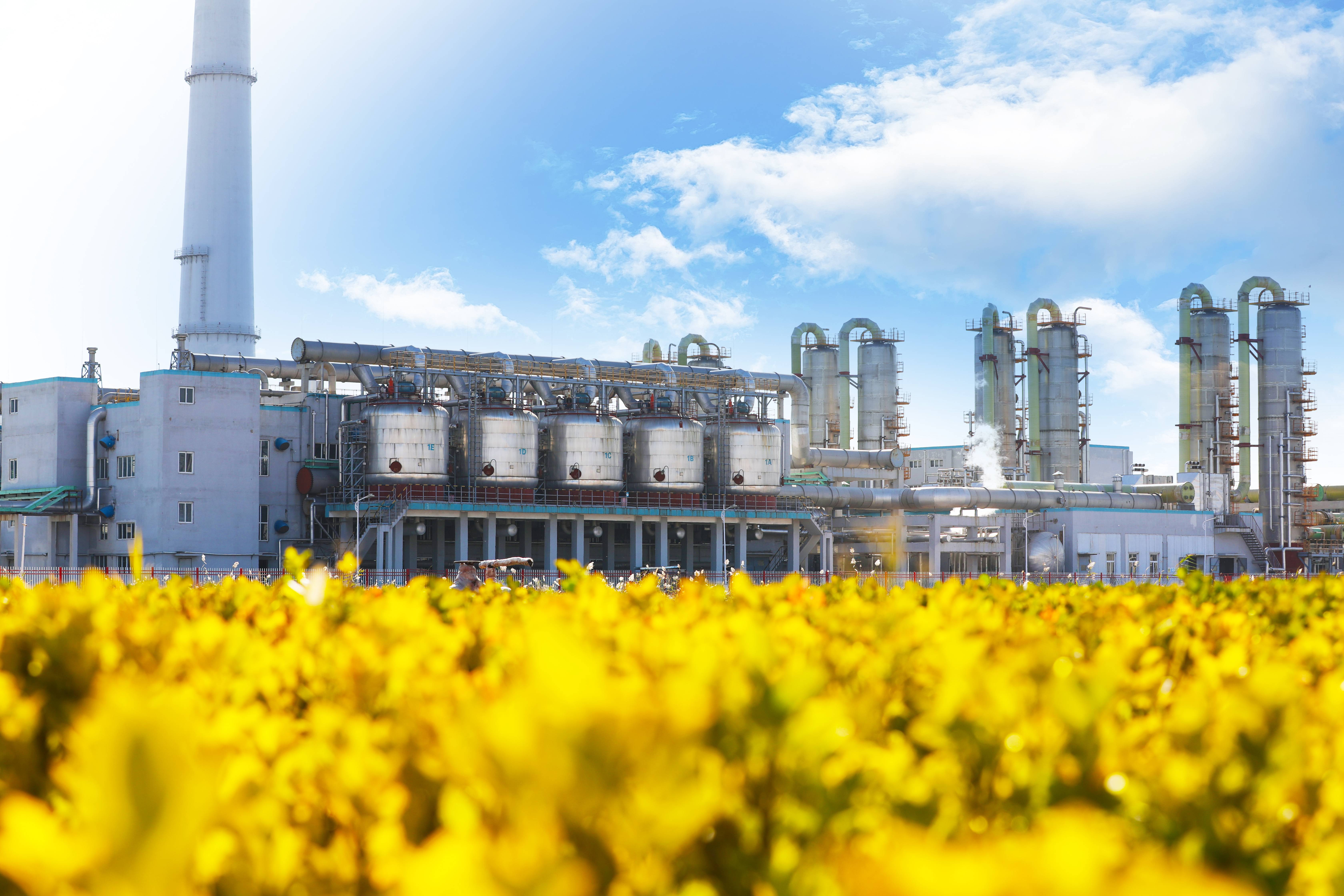 ����ƽ̨|��������-����ע���¼ƽ̨����